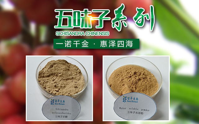 湖南诺泽生物科技有限公司_湖南健康植物提取物|保健品的原料有哪些|哪家公司的植物提取质量更好